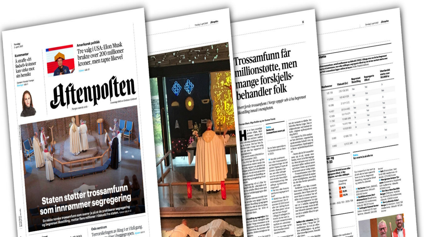 norwegian article image